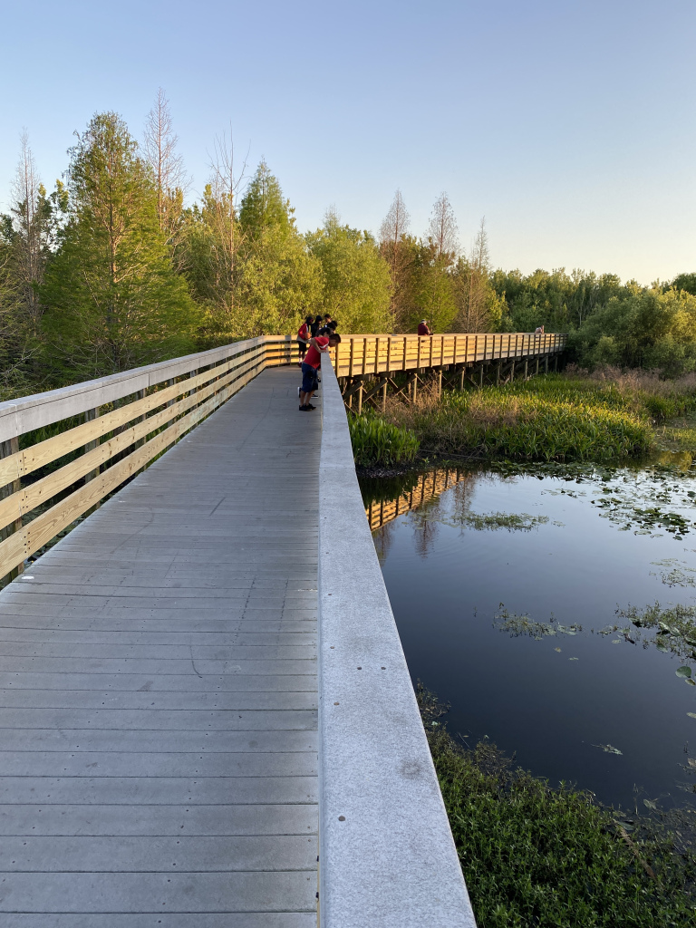 All That Corona Has Changed in me?                                    कोरोना ने कितना कुछ बदल दिया&nbsp;है?