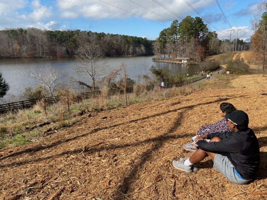 यह साल तो सिर्फ़ अगले की आस में गया&nbsp;!