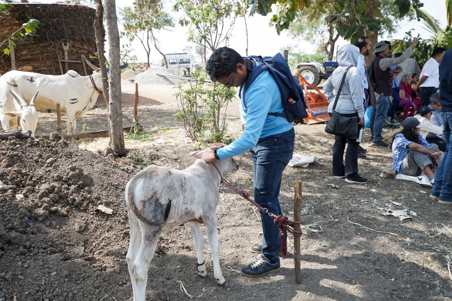 जहाँ डाल डाल पर सोने की चिड़िया करती है बसेरा, वो भारत देश है मेरा, वो भारत देश है मेरा।
